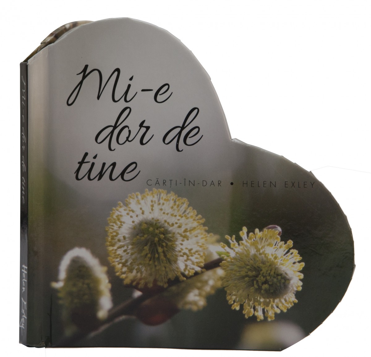 mi-e dor de tine