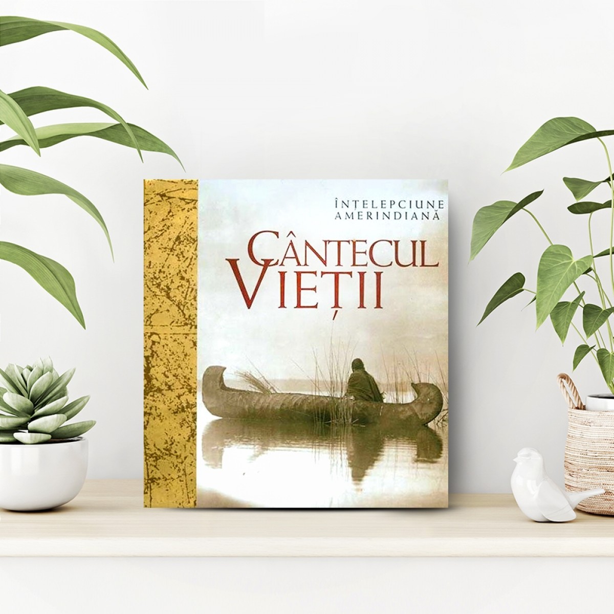 Cântecul vieții  