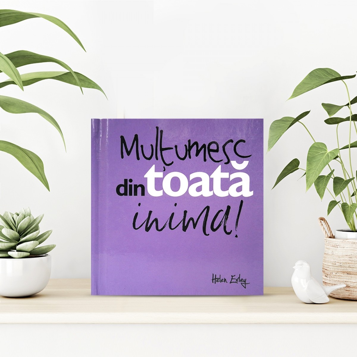 Mulţumesc din toată inima!