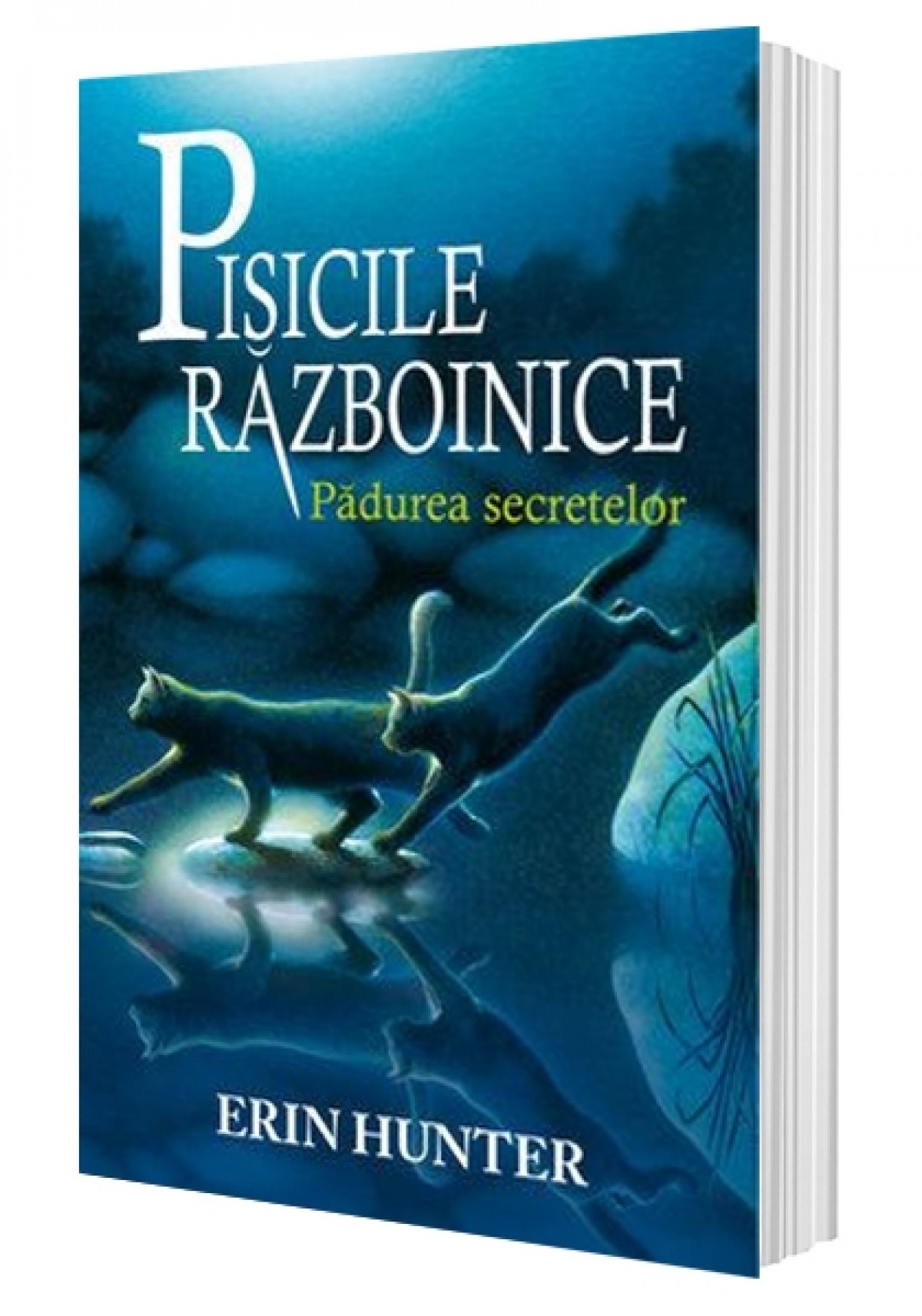 Cartea 3 Pisicile Războinice. Pădurea secretelor