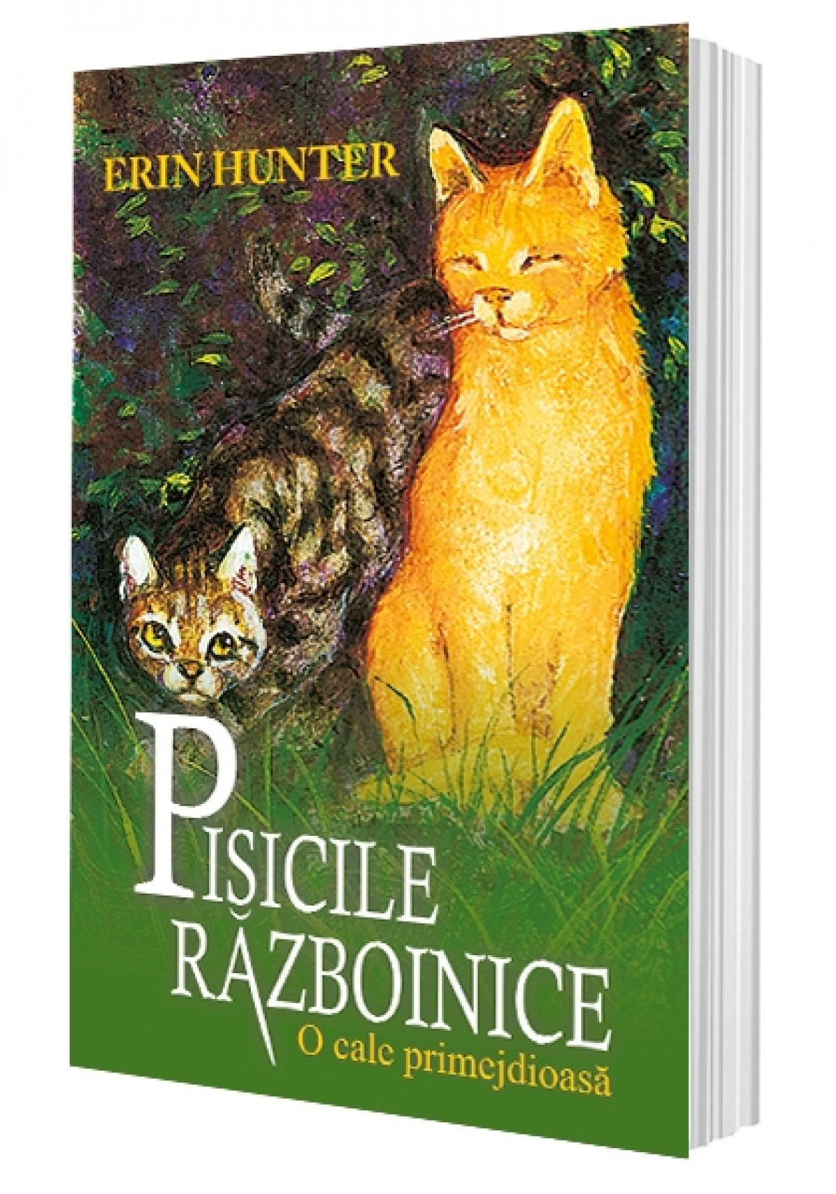 Cartea 5 Pisicile Războinice. O cale primejdioasă