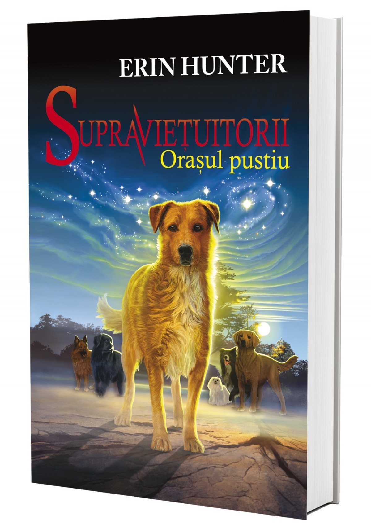 Cartea 1 Supraviețuitorii. Orașul Pustiu