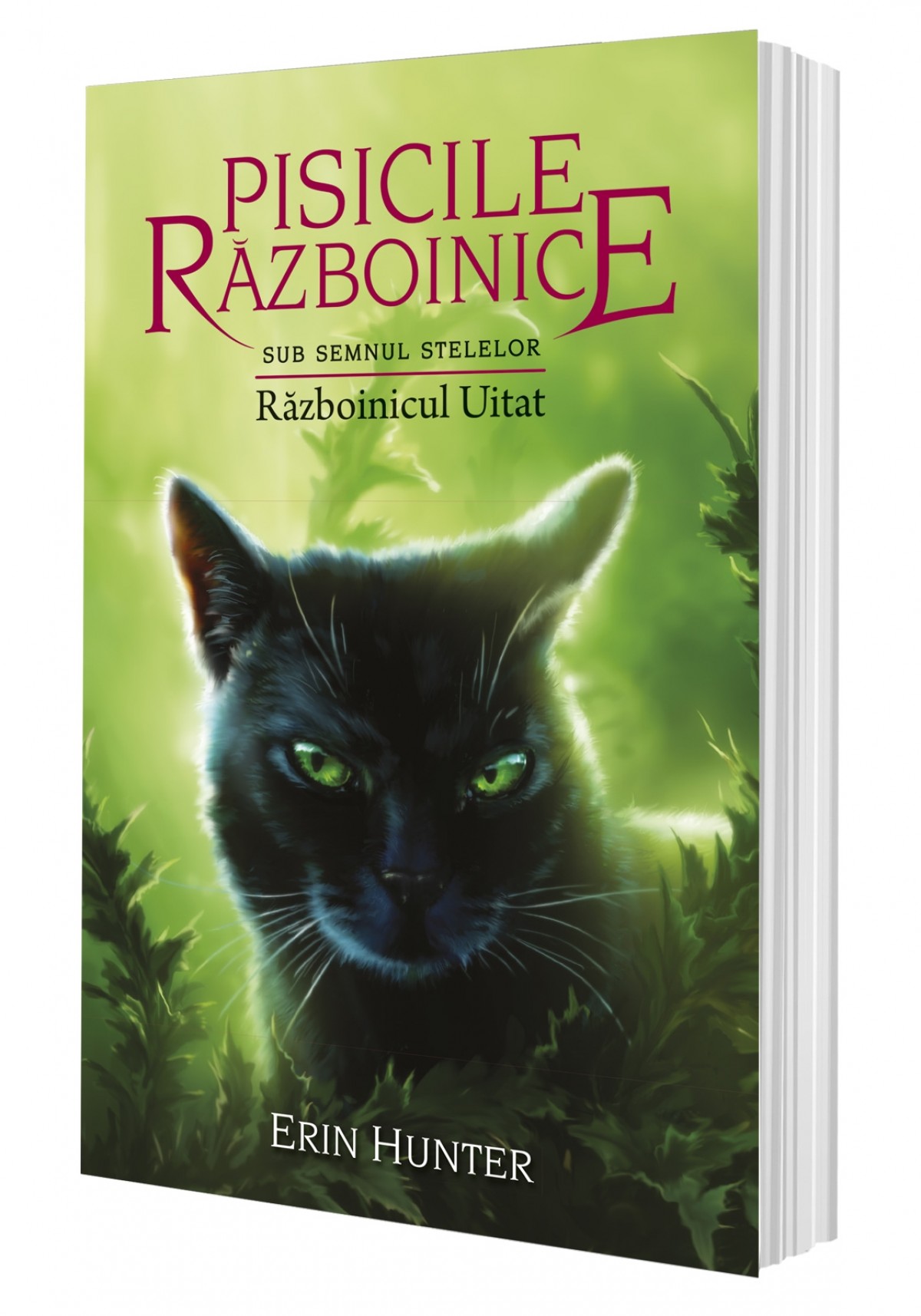 Cartea 23 Pisicile Războinice. Războinicul Uitat