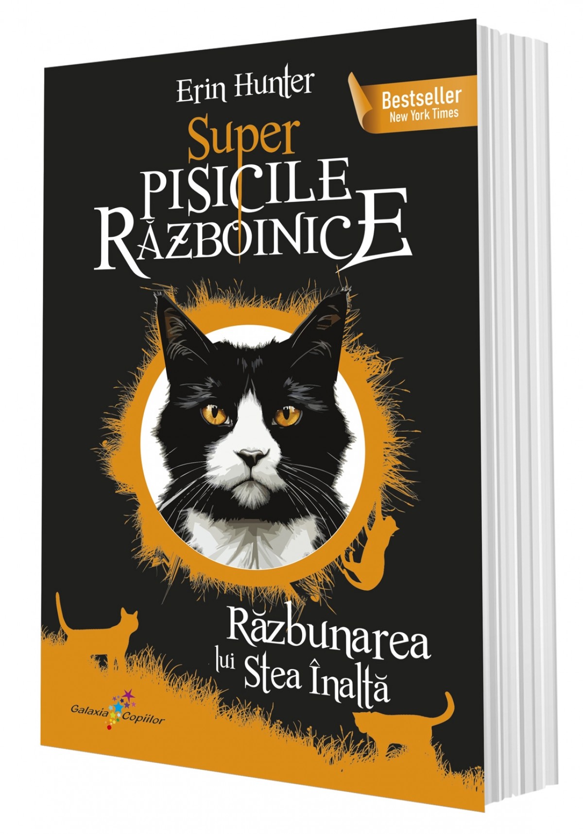 Răzbunarea lui Stea Înaltă. Super Pisicile Războinice