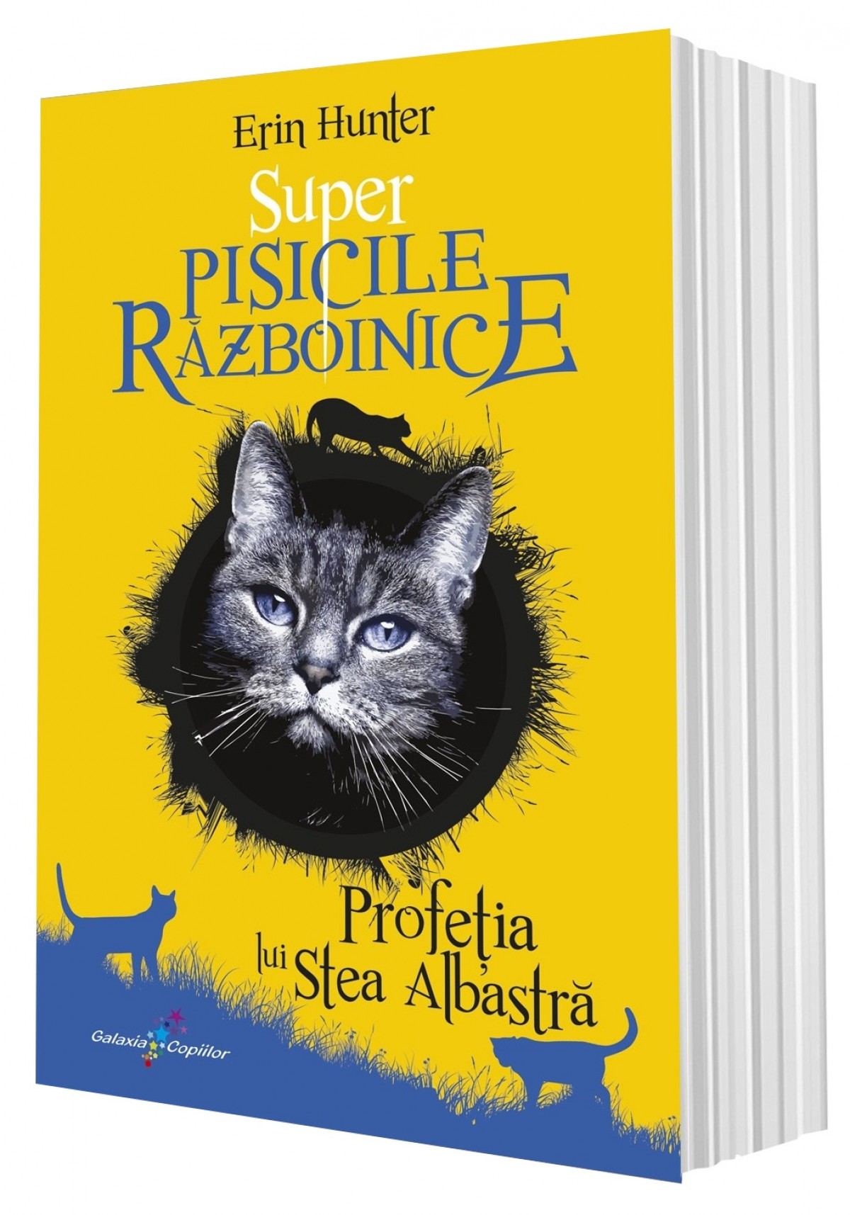 Profeția lui Stea Albastră. Super Pisicile Războinice