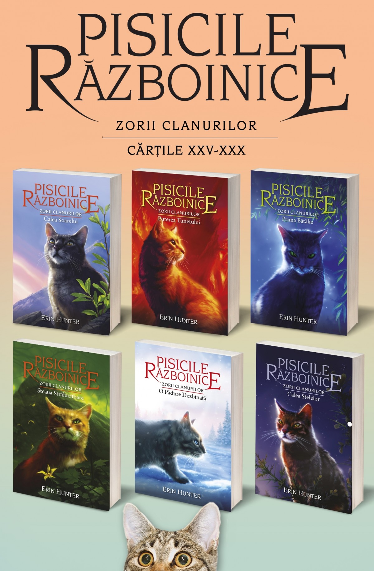 Pachet cărțile 25-30. Pisicile Războinice – Seria V