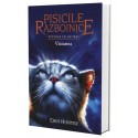 Cartea 13 Pisicile Războinice. Viziunea