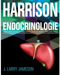 Harrison. Endocrinologie