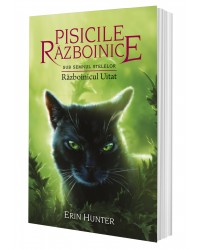 Cartea 23 Pisicile Războinice. Războinicul Uitat