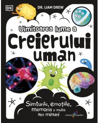 Uimitoarea lume a creierului uman