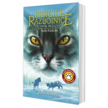 Cartea 37 Pisicile Războinice. Codul Încălcat: Stele Rătăcite