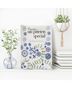 Pentru un prieten special