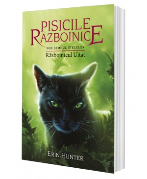 Cartea 23 Pisicile Războinice. Războinicul Uitat