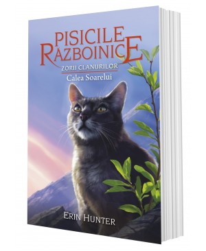 Cartea 25 Pisicile Războinice. Zorii clanurilor: Calea Soarelui