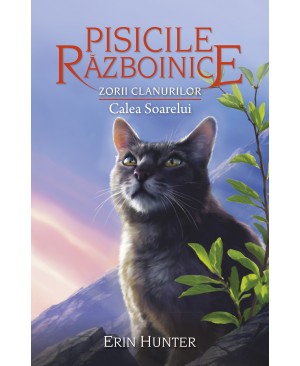 Cartea 25 Pisicile Războinice. Zorii clanurilor: Calea Soarelui