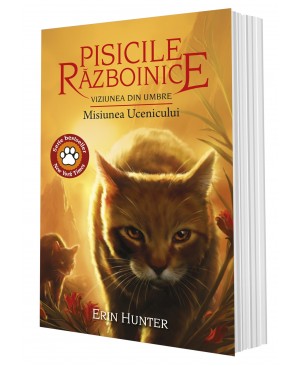 Cartea 31 Pisicile Războinice. Viziunea din umbre: Misiunea Ucenicului