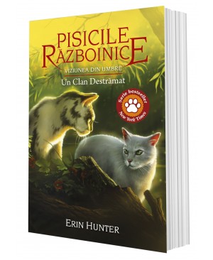 Cartea 33 Pisicile Războinice. Viziunea din umbre: Un Clan Destrămat