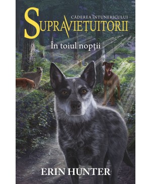 Cartea 8 Supraviețuitorii. În toiul nopții