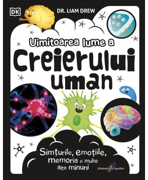 Uimitoarea lume a creierului uman