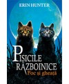 PISICILE RĂZBOINICE CARTEA A II-A. FOC Şi GHEAŢĂ