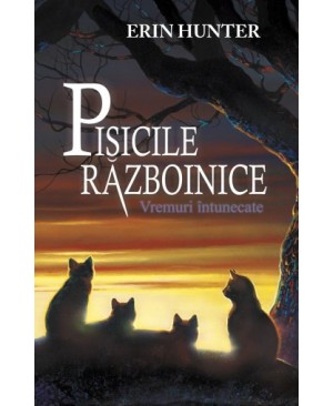 Cartea 6 Pisicile Războinice. Vremuri întunecate